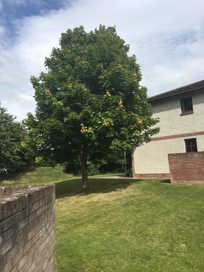 Miller Apartment Inverness Exterior foto